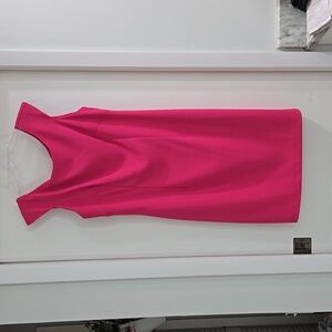 Pink Dani Max Dress